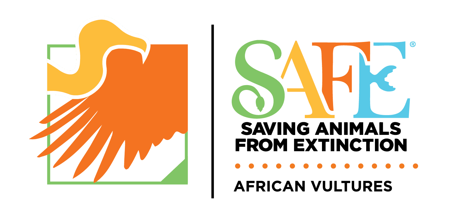 African Vulture SAFE