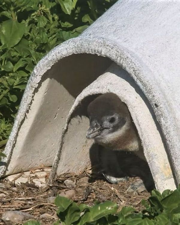 bgimage