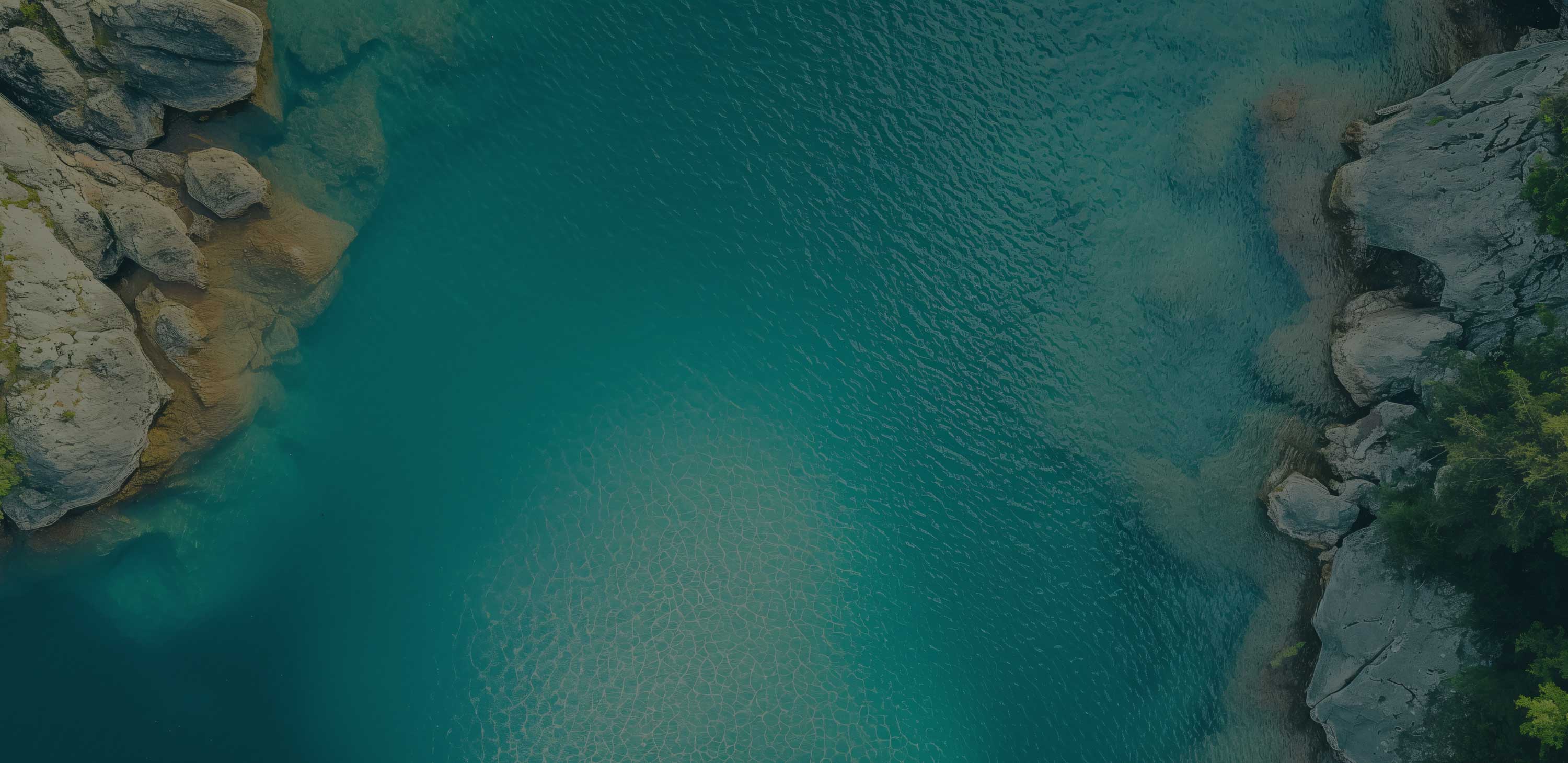 image banner