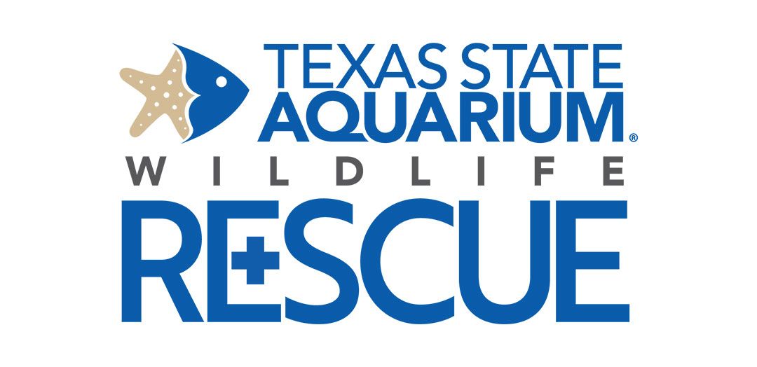 Texas State Aquarium