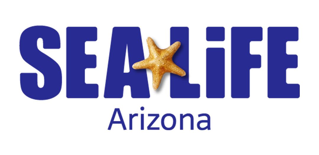 SEA LIFE Arizona Aquarium